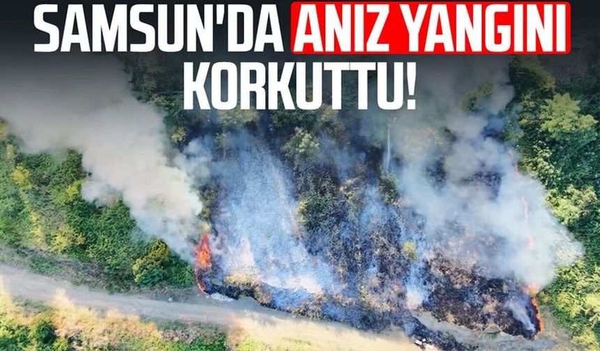 Samsun'da korkutan anız yangını