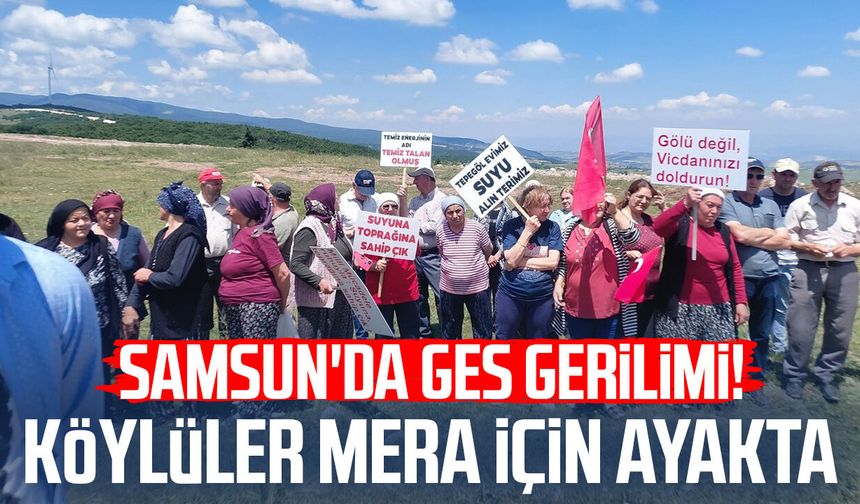 Samsun'da GES gerilimi! Köylüler mera için ayakta