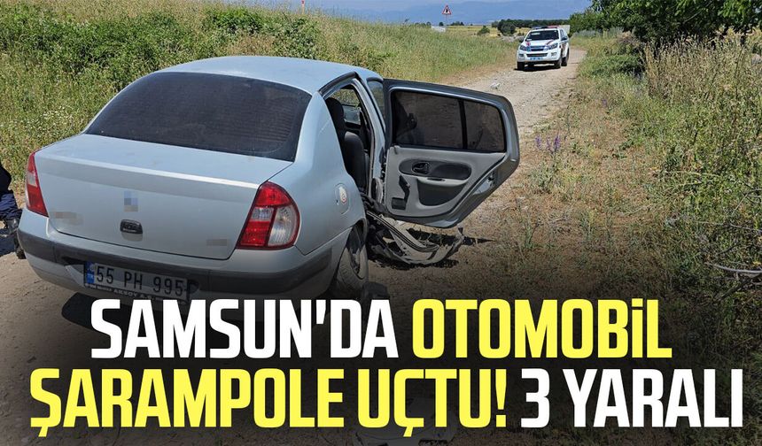 Samsun'da otomobil şarampole düştü: 3 yaralı