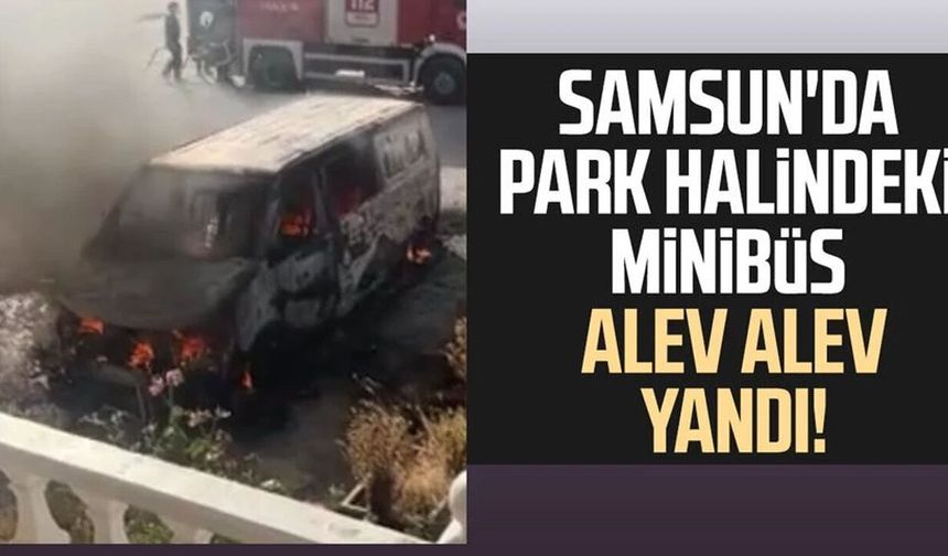 Samsun'da park halindeki panelvan alevlere teslim oldu