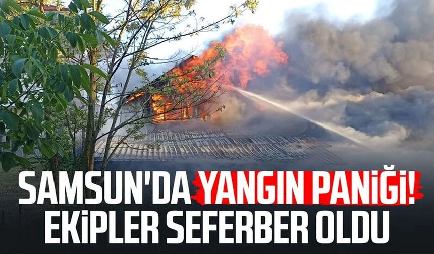 Havza'da müstakil evde yangın