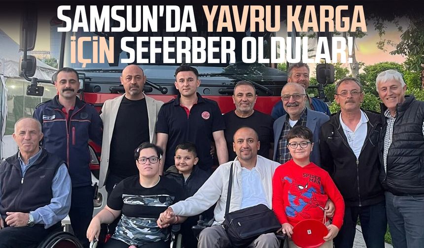 Engelli vatandaşlardan ve itfaiyeden yavru kargaya şefkat eli