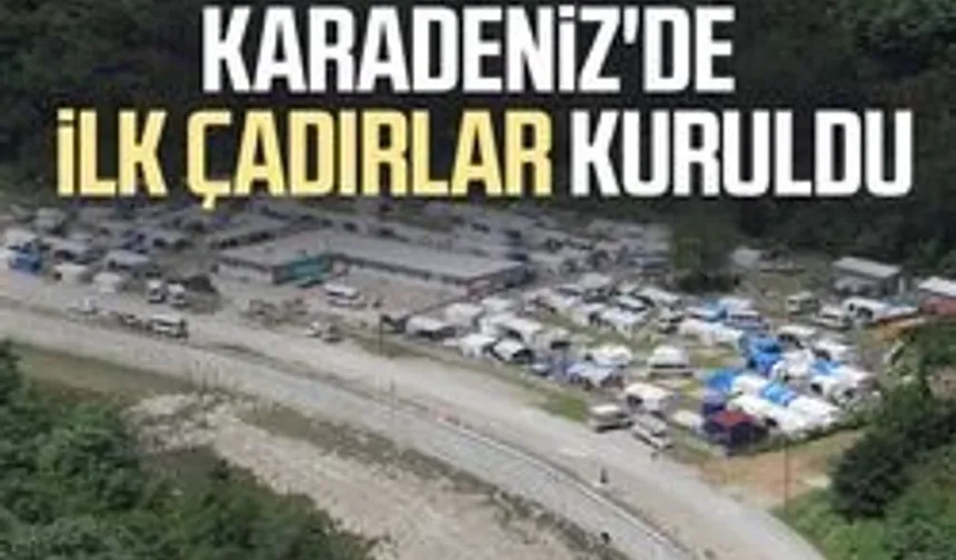 Karadeniz'de fındık sezonu başlıyor! İlk çadırlar kuruldu