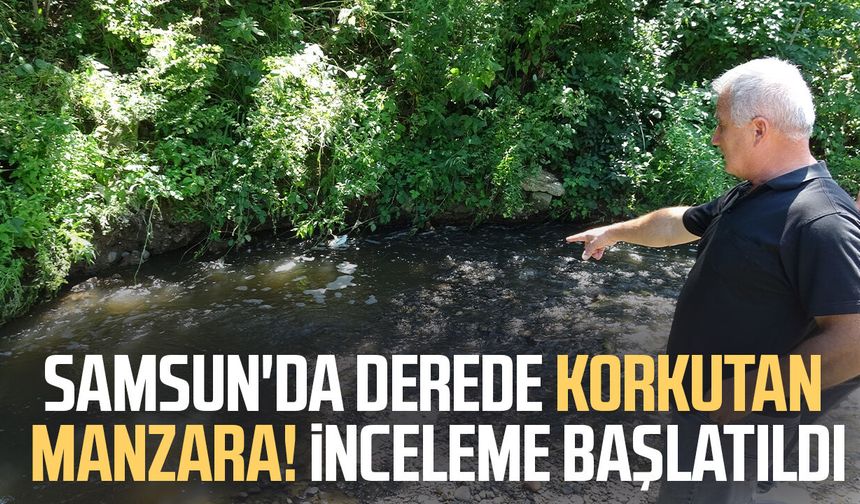 Samsun'da derede toplu balık ölümleri: Mahalleli kalıcı çözüm istiyor