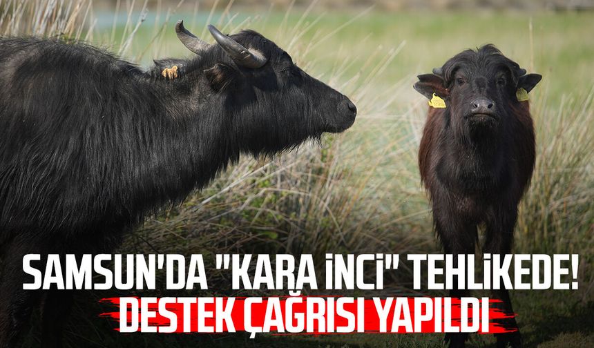 Türkiye'nin manda üssünde 'düşüş' endişesi