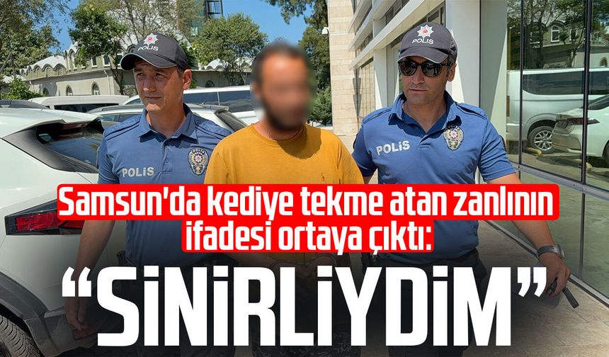 Kediye tekme atan şahıs tutuklandı: 'Sinirliydim, pişmanım'
