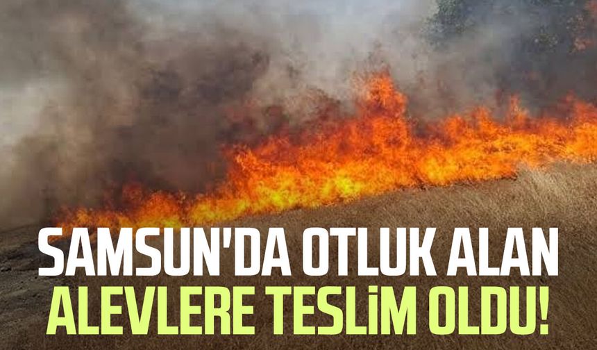 Samsun'da otluk alan yangını: 10 dönüm alan zarar gördü