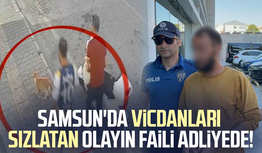 Samsun'da kediye tekme atarken kameraya yansıyan şahıs yakalandı