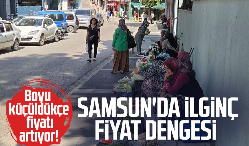 Samsun'da bamyanın boyu küçüldükçe fiyatı artıyor