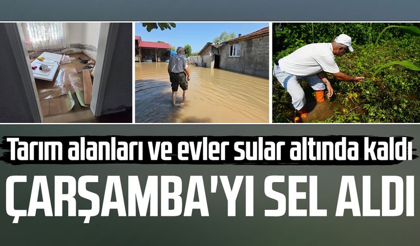 Çarşamba'yı sel aldı: Tarım alanları ve evler sular altında kaldı