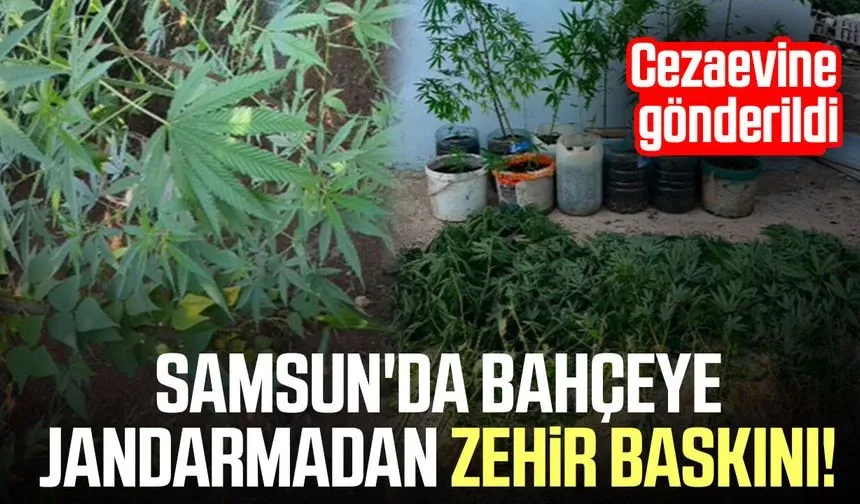 Salıpazarı'nda uyuşturucu operasyonu: 1 kilo 215 gram esrar ve kenevir ele geçirildi