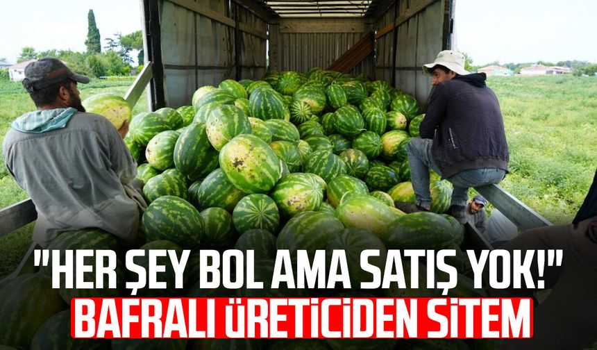 Bafra Ovası'nda kavun-karpuz bereketi: Baldan tatlı hasat