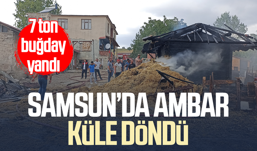 Samsun'da ambarda yangın: 7 ton buğday küle döndü