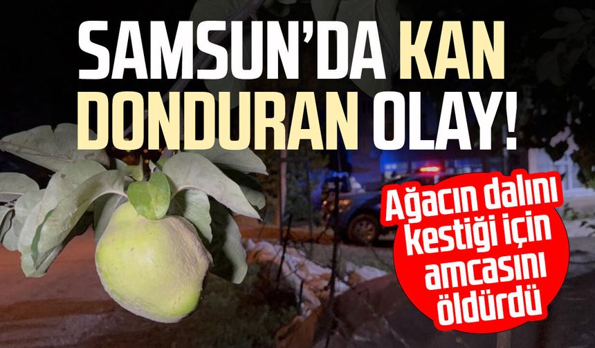 Ağacın dalını kestiği için amcasını öldürdü
