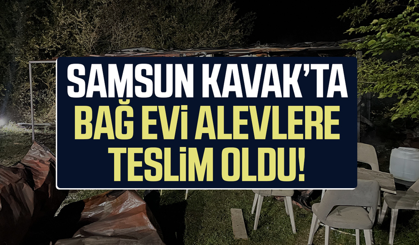 Konteyner ev alevlere teslim oldu