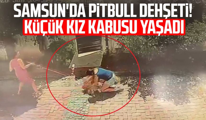 Samsun'da pitbull dehşeti