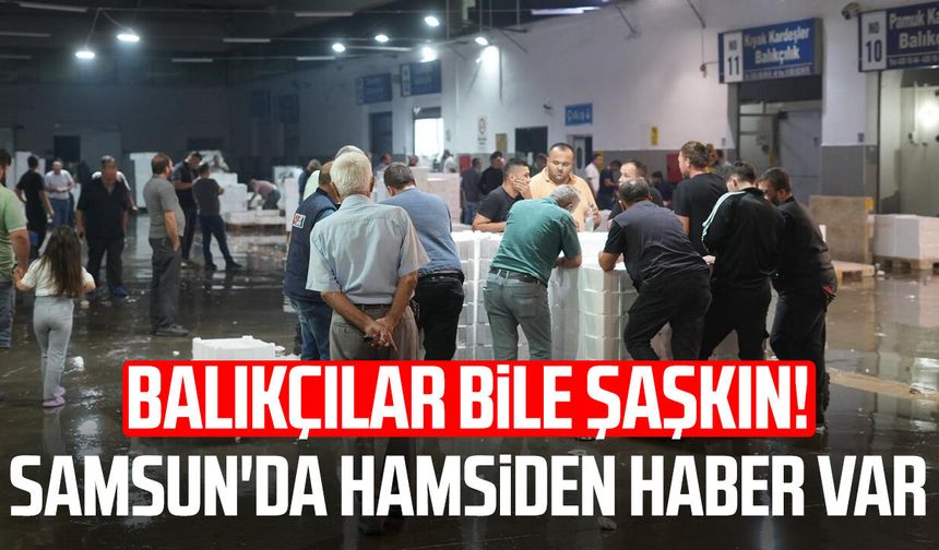 Karadeniz'de çifte bereket: Hem palamut hem hamsi bolluğu