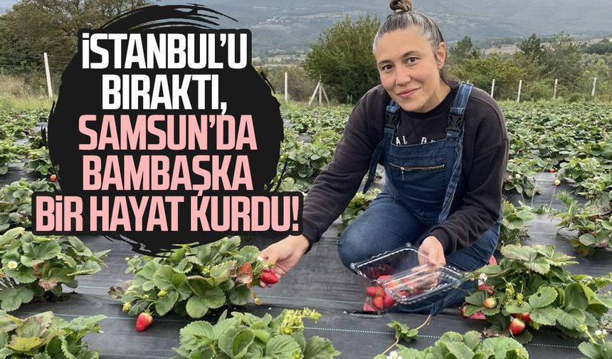 İstanbullu Birsen, tekstil işini bırakıp çiftçi oldu: Aronya ve çilek üretiyor