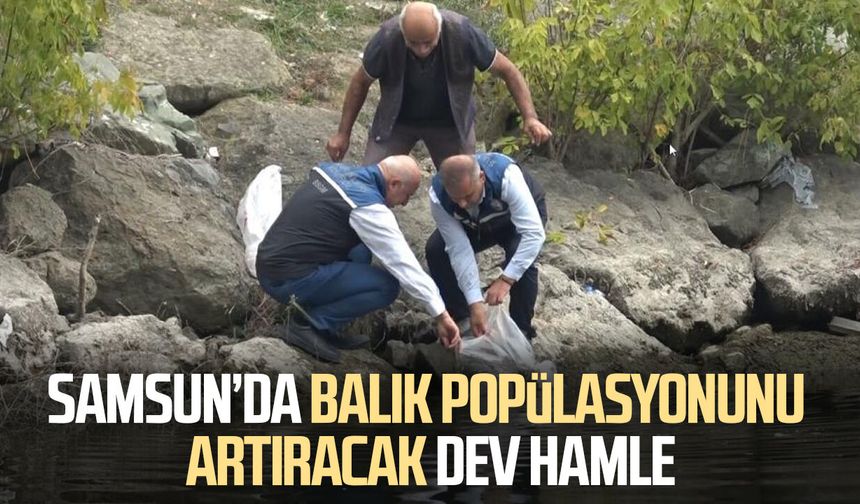 Samsun'un iç suları 1 milyon 125 bin sazan yavrusu ile balıklandırıldı