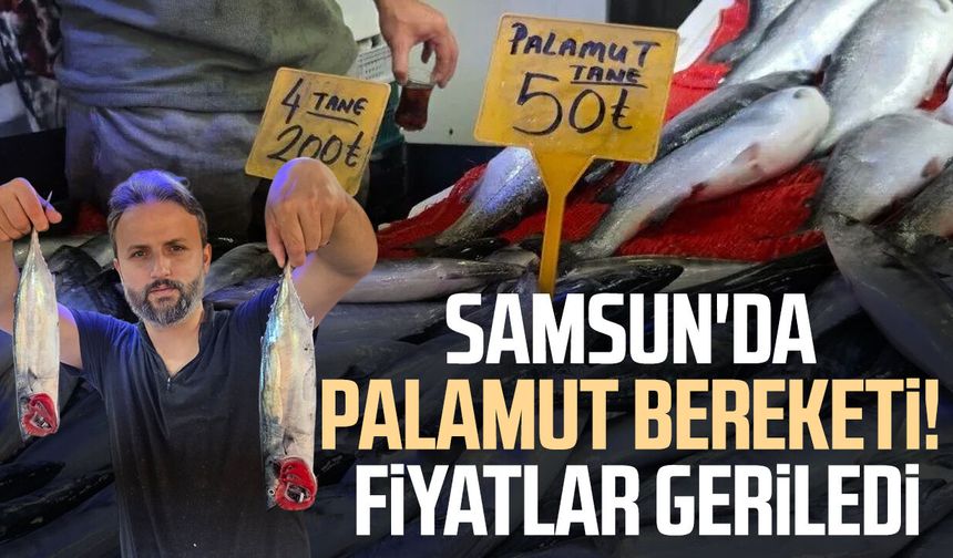 Palamut bedavadan biraz daha pahalı: Tanesi 50 TL