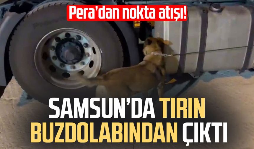 Samsun'da tırda buzdolabındaki maddeyi 'Pera' buldu
