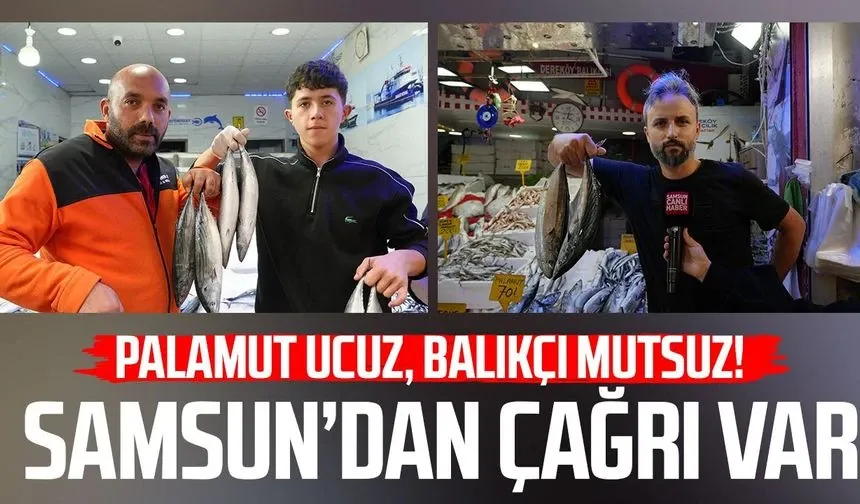 Palamut ucuz, balıkçı mutsuz! Samsun’da kota çağrısı