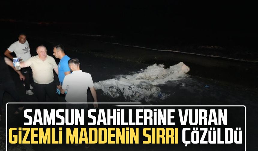 Samsun sahillerine vuran beyaz toz 'guar gum' çıktı: Doğal lif