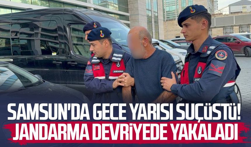 Orman envanterlerini çalarken suçüstü yakalandı