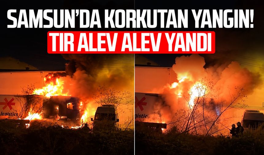Park halindeki tır alevlere teslim oldu