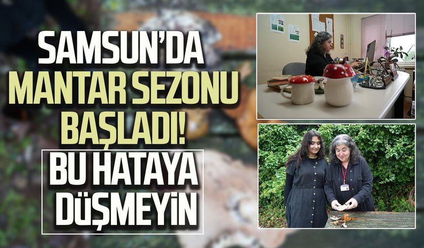 Samsun'da mantar sezonu başladı! Bu hataya düşmeyin
