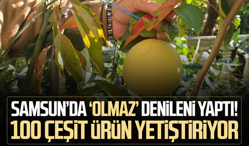 'Olmaz' denileni yaptı: Bahçesinde avokadodan tamarilloya kadar 100 çeşit subtropikal meyve ve sebze üretiyor