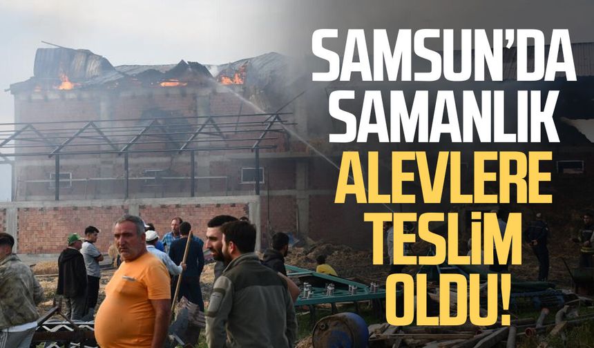 Samsun'da kaynak kıvılcımı samanlığı yaktı